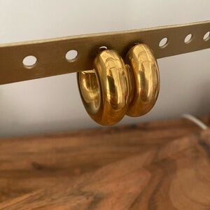 Elegant Gold Hoop Earrings